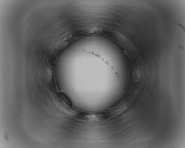 X0000103480558200809191902