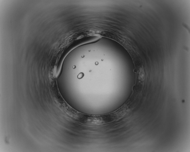 X0000103480559200809191902
