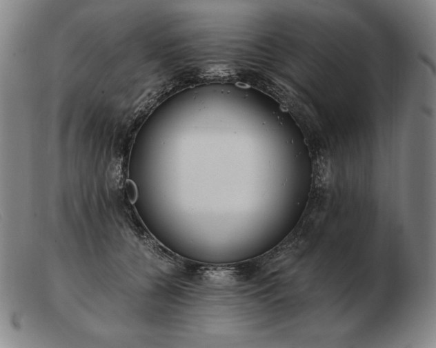 X0000103480560200809191902