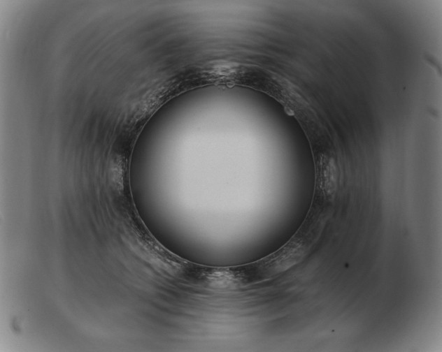 X0000103480562200809191902