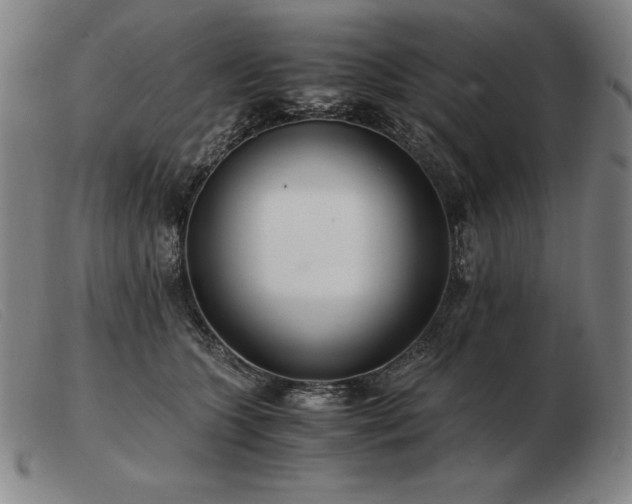 X0000103480563200809191902