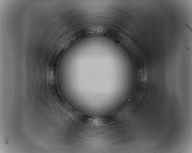 X0000103480564200809191902