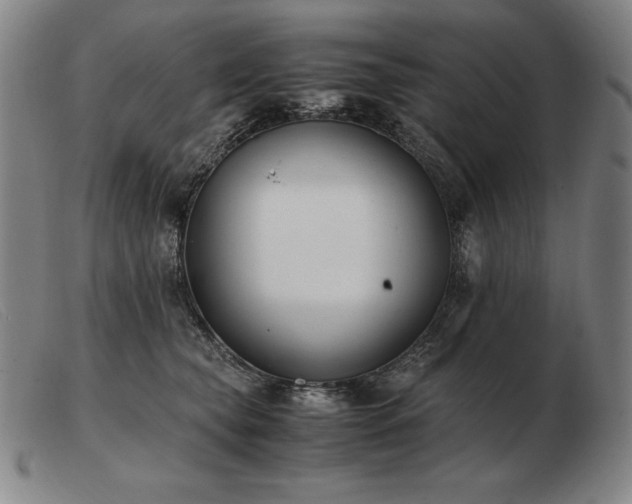 X0000103480565200809191902