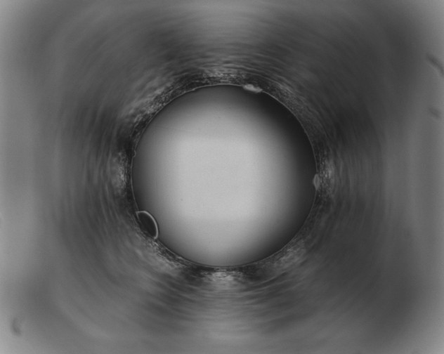 X0000103480566200809191902
