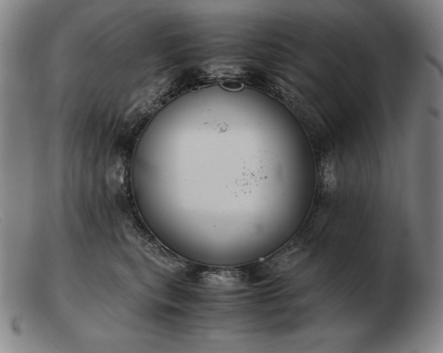 X0000103480567200809191902