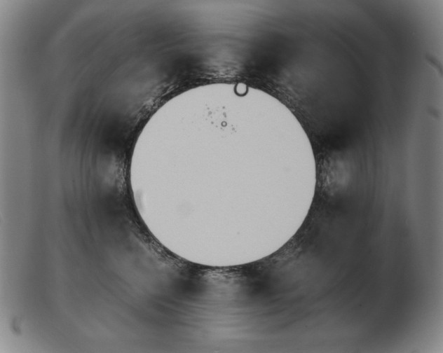 X0000103480568200809191902