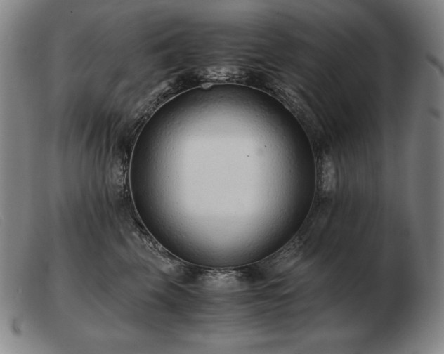 X0000103480569200809191902