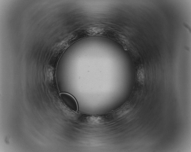 X0000103480570200809191902