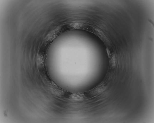 X0000103480571200809191902
