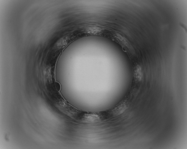 X0000103480572200809191902