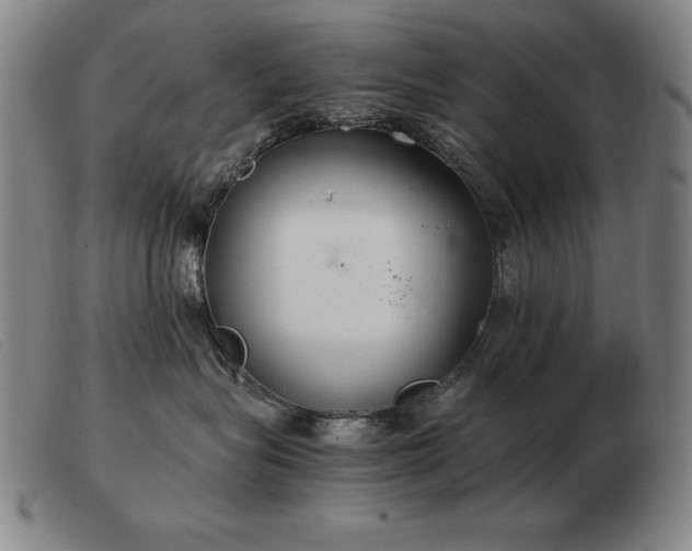 X0000103480575200809191902
