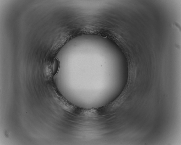 X0000103480576200809191902