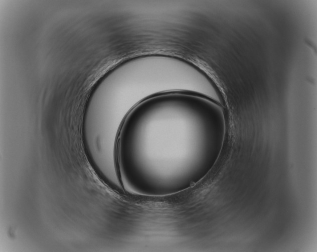 X0000103480577200809191901