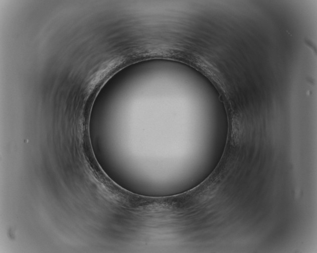 X0000103480578200809191901