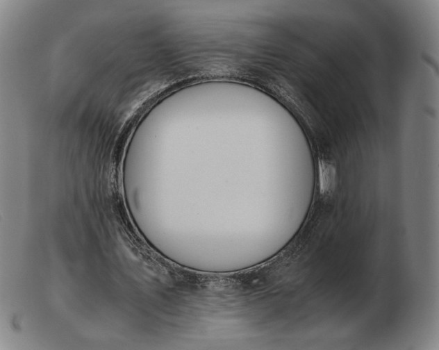 X0000103480579200809191901