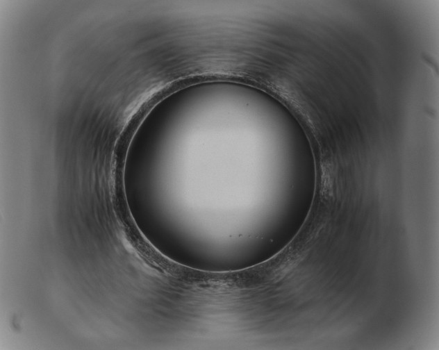 X0000103480580200809191901