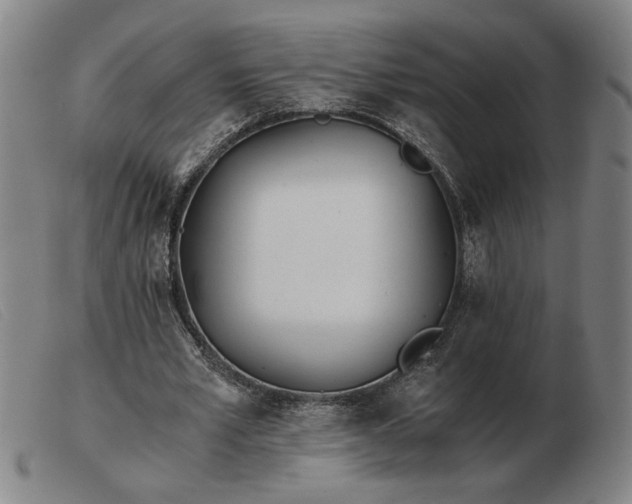 X0000103480581200809191901