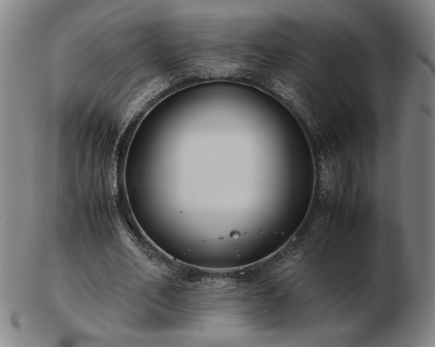 X0000103480582200809191901