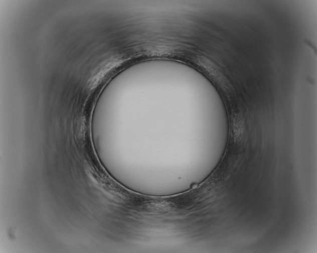 X0000103480583200809191901