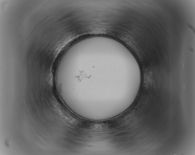 X0000103480584200809191901