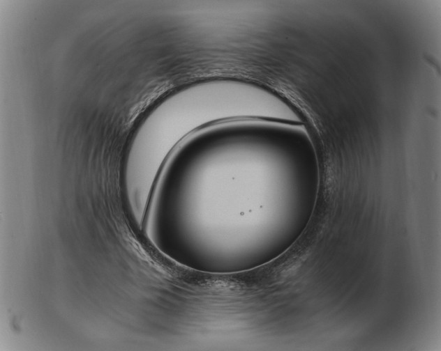 X0000103480585200809191901