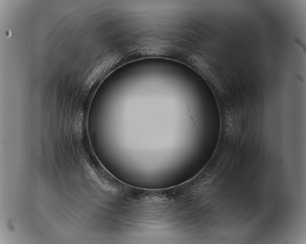 X0000103480586200809191901