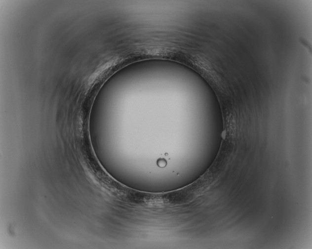 X0000103480587200809191901