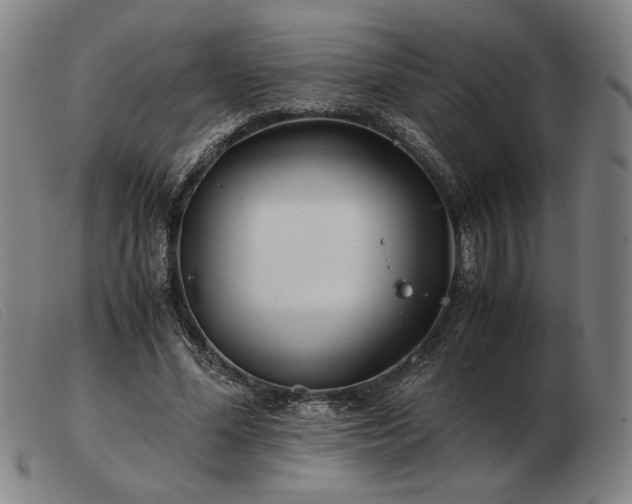 X0000103480588200809191901