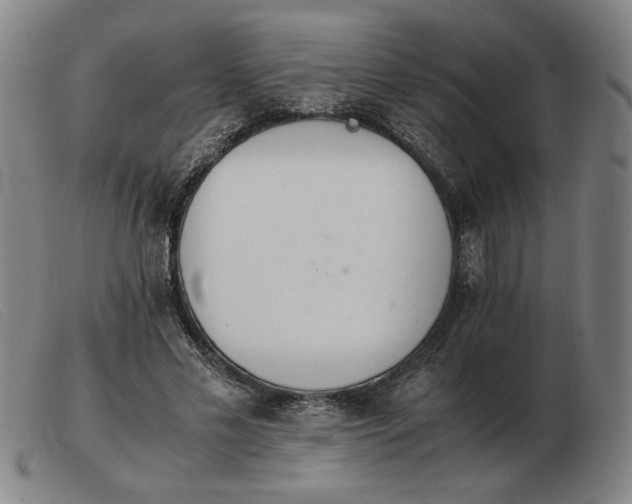 X0000103480589200809191901
