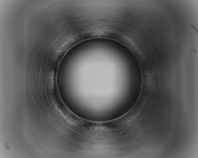 X0000103480590200809191901