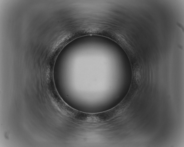 X0000103480591200809191901