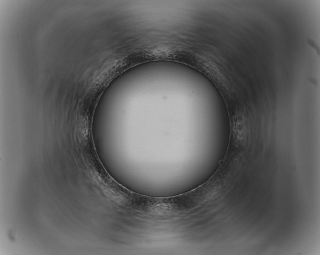 X0000103480593200809191901