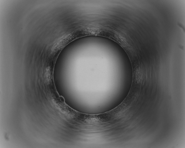 X0000103480594200809191901