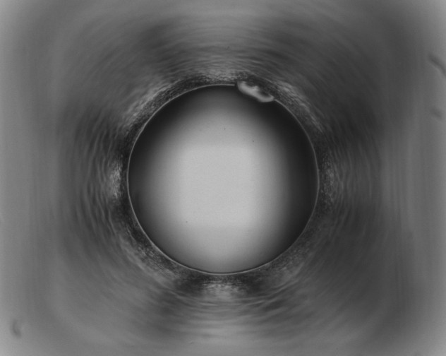X0000103480596200809191901