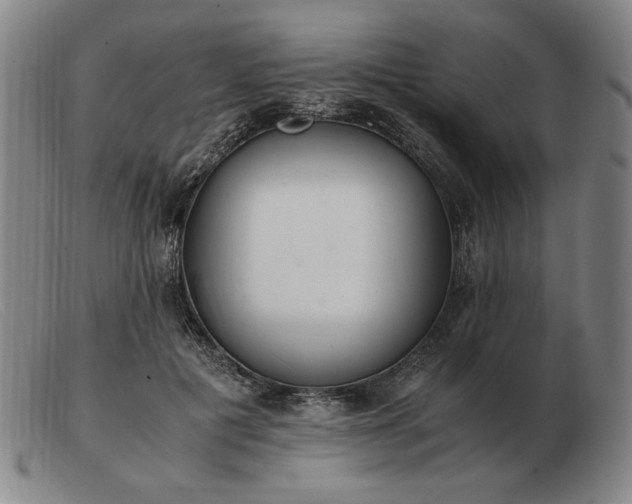 X0000103480601200809191901