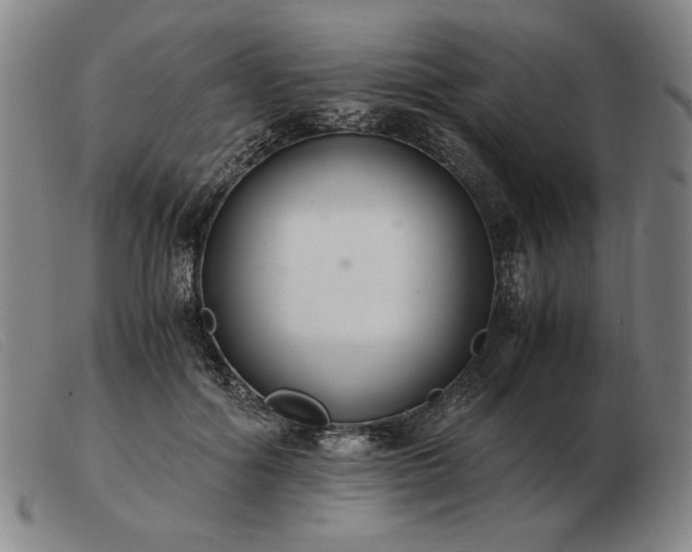 X0000103480602200809191901