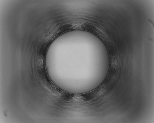 X0000103480603200809191901