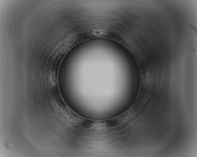 X0000103480606200809191901