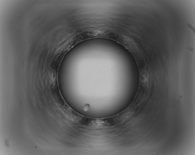 X0000103480607200809191901
