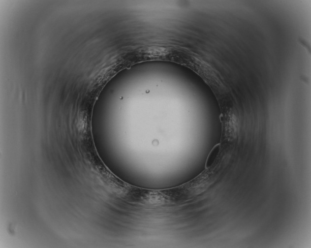 X0000103480608200809191901