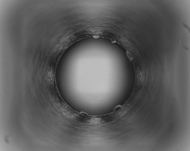 X0000103480609200809191901