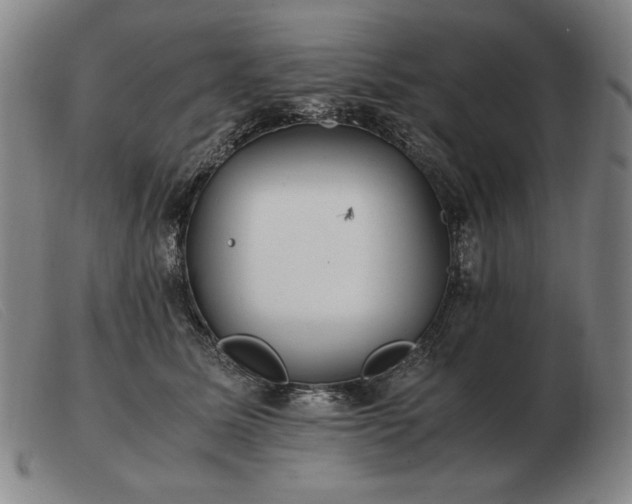 X0000103480611200809191901