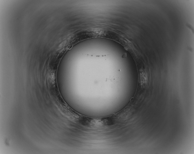X0000103480613200809191901