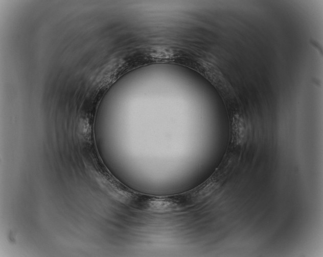 X0000103480614200809191901