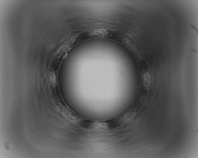 X0000103480617200809191901