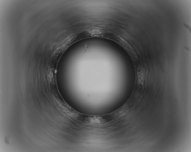 X0000103480618200809191901