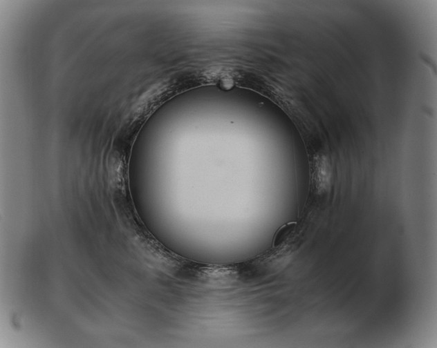 X0000103480619200809191901