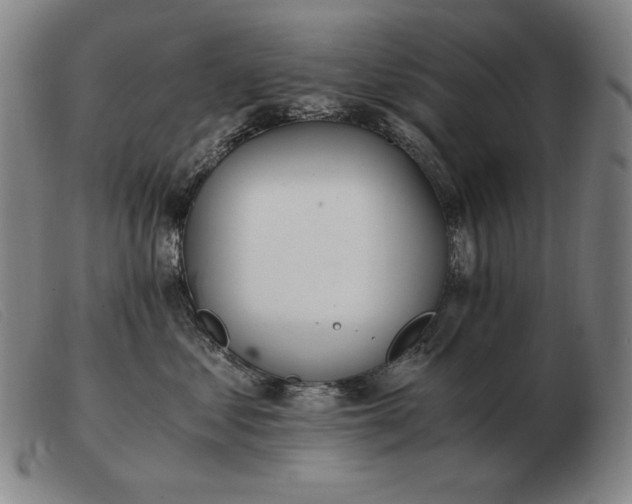 X0000103480621200809191901