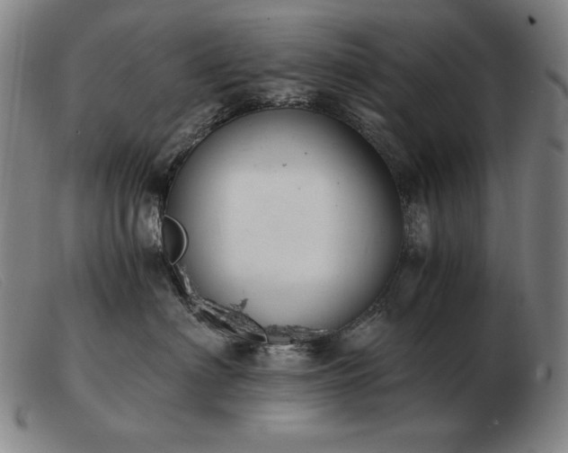 X0000103480622200809191901