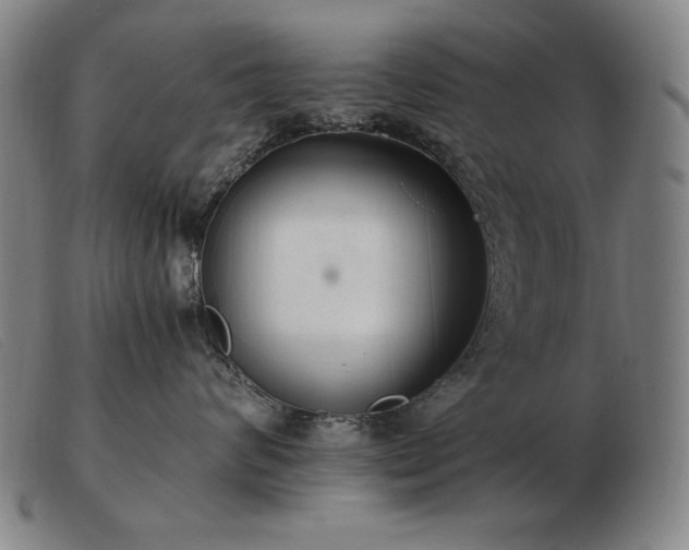 X0000103480624200809191901